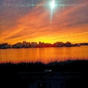 Meet your Posher, Gladys